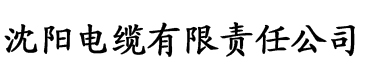 亚洲一区二区三上电缆厂logo